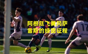 阿根廷飞翼冈萨雷斯的绿茵征程