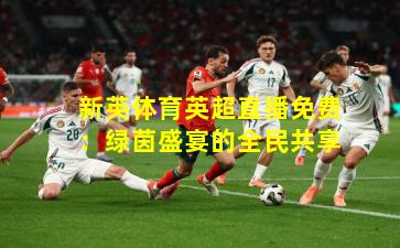 新英体育英超直播免费：绿茵盛宴的全民共享