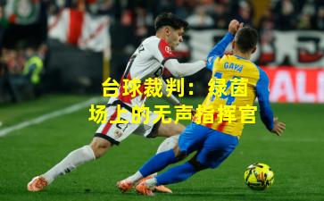 台球裁判：绿茵场上的无声指挥官