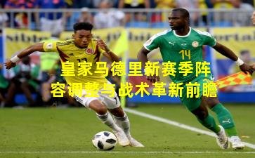 皇家马德里新赛季阵容调整与战术革新前瞻