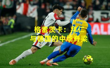 格雷茨卡：拜仁与德国的中场脊梁