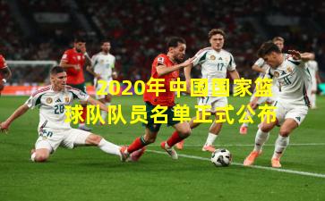 2020年中国国家篮球队队员名单正式公布