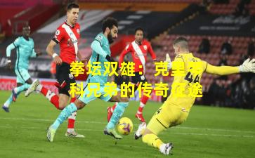 拳坛双雄:克里琴科兄弟的传奇征途